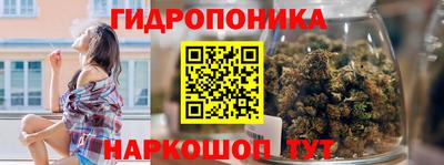 гашик Гусь-Хрустальный