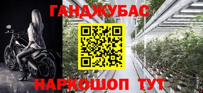 Альфа ПВП Гусиноозёрск